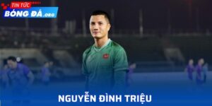 Nguyễn Đình Triệu